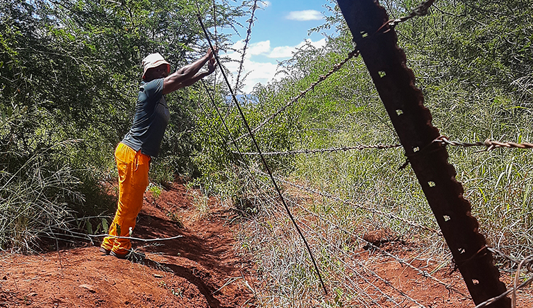 Senzo Dlamini holds the collapsing Eswatini-South Africa international boundary fence at Lavumisa in the southern Shiselweni Region. Photo: Vuyisile Hlatshwayo/SAAJP