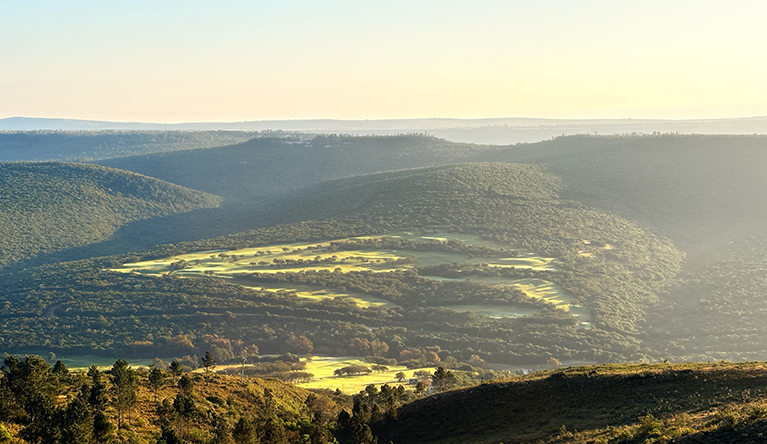 Pastures cut into the near-pristine Albany thicket outside Makhanda in Eastern Cape province show how extensive and dense the hedge-like plant community once was. Pic: Leonie Joubert