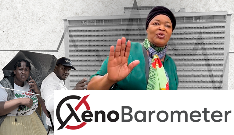 March and March supporters stop patients at Lancers Road Clinic in Durban (Poster design: Henry Nxumalo Foundation)