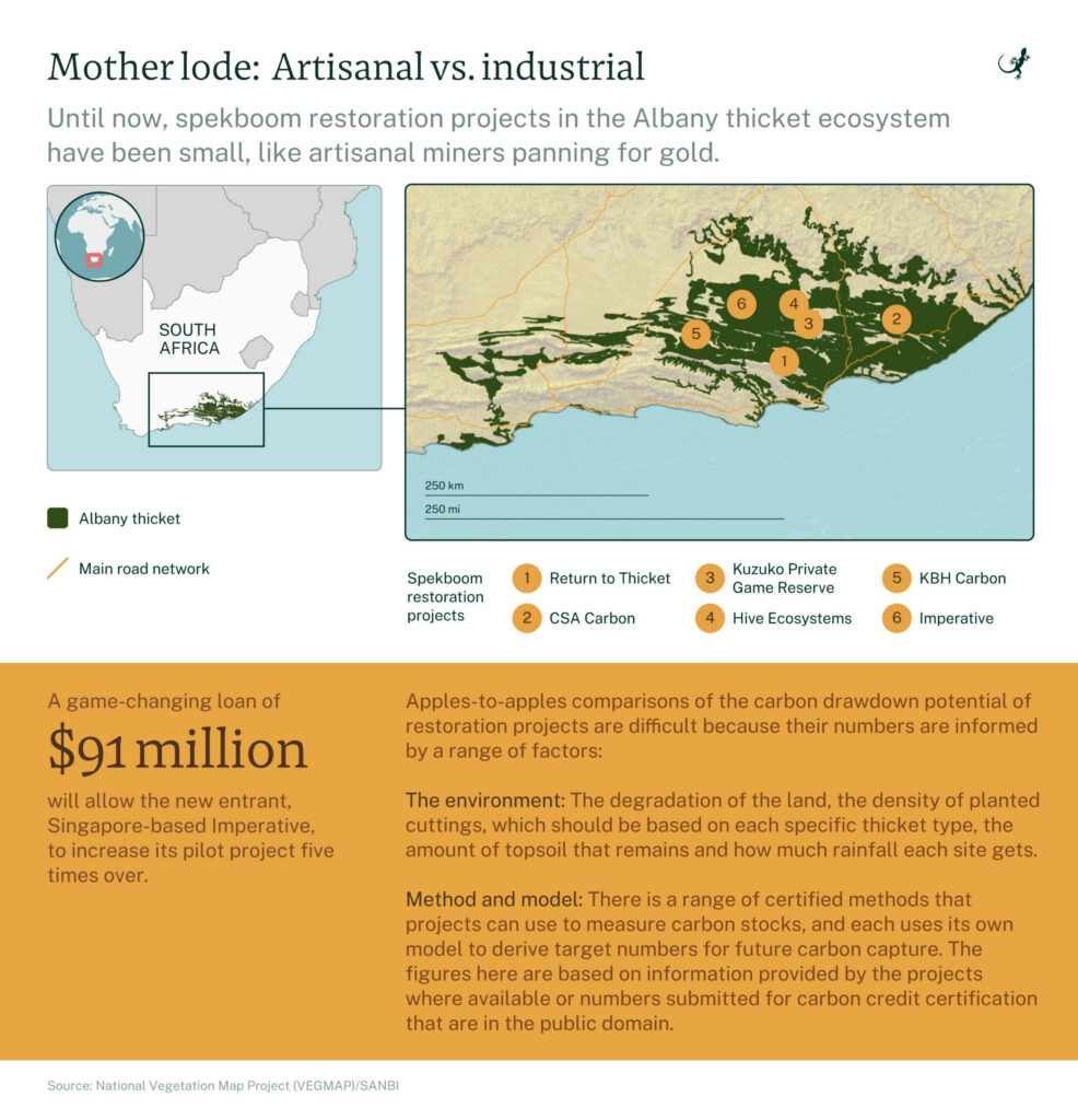 Infographic